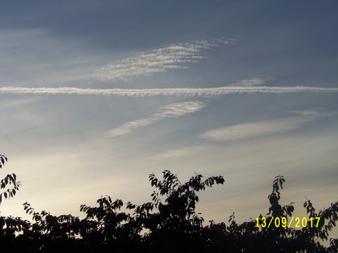 100_3039.JPG