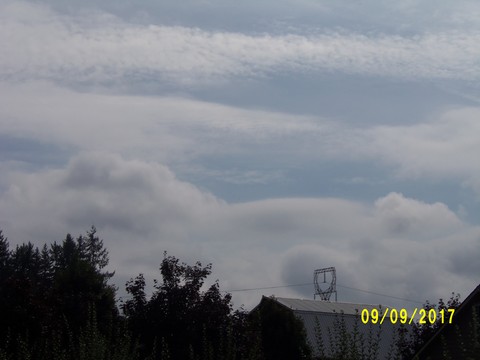 100_2893.JPG