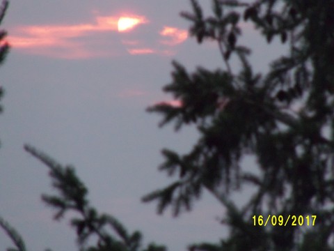 100_3052.JPG