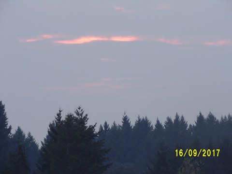 100_3056.JPG
