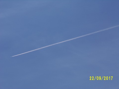 100_3063.JPG