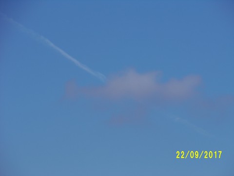 100_3065.JPG