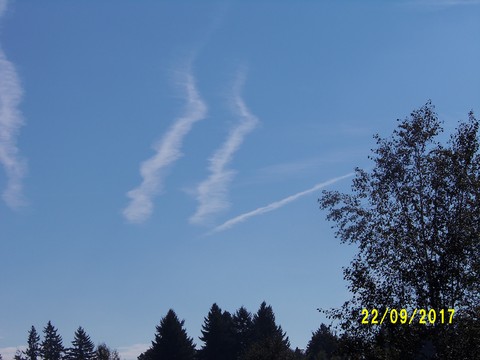 100_3062.JPG