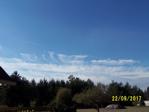 100_3071.JPG