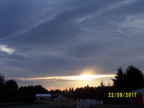 100_3081.JPG