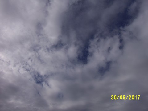 100_3110.JPG
