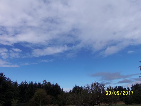 100_3113.JPG