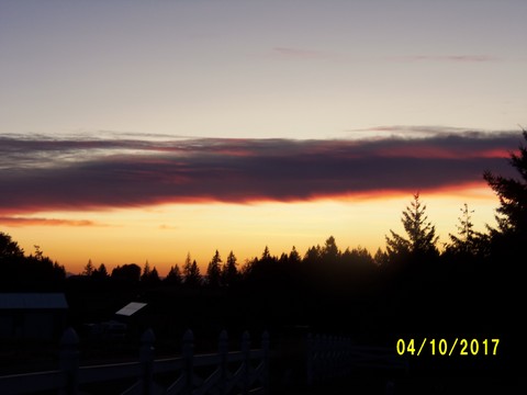 100_3130.JPG