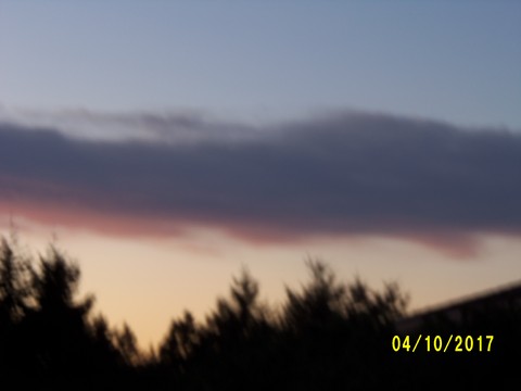 100_3133.JPG