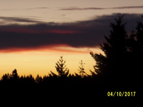 100_3134.JPG