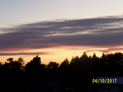 100_3135.JPG