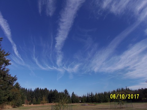100_3154.JPG