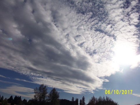 100_3167.JPG