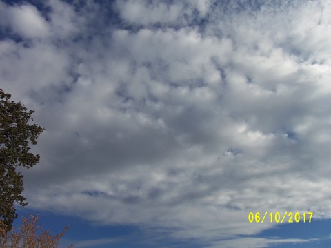 100_3168.JPG