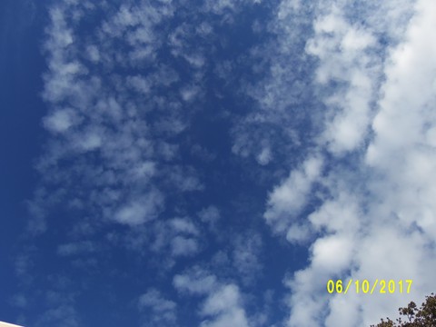 100_3169.JPG