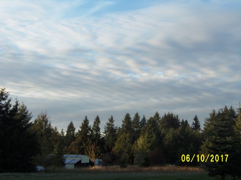 100_3170.JPG