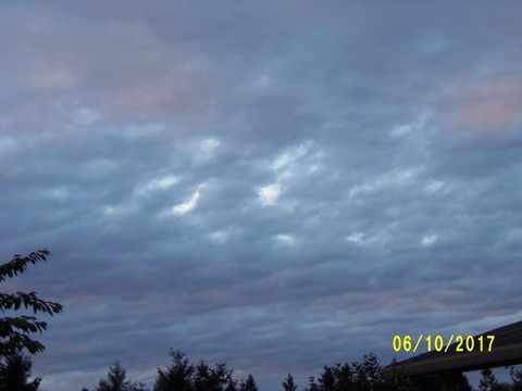 100_3179.JPG