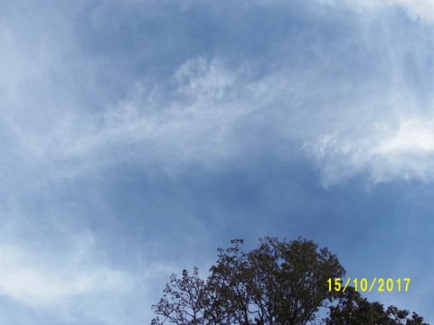100_3226.JPG