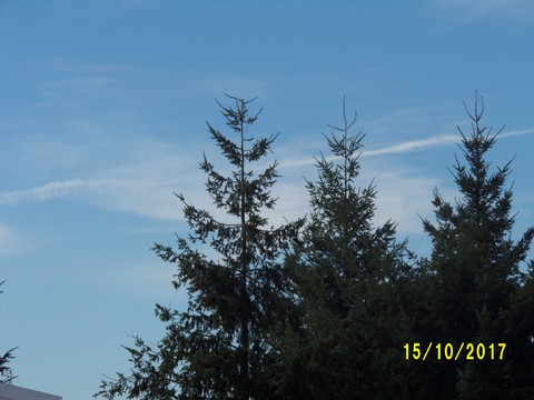100_3227.JPG