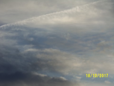 100_3248.JPG