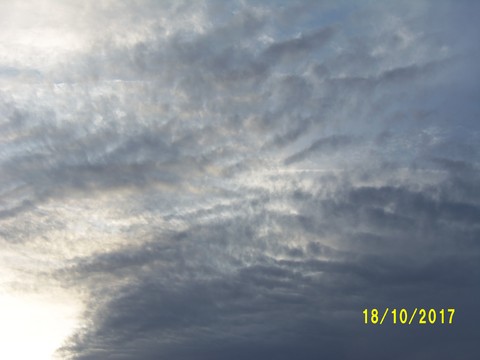 100_3251.JPG