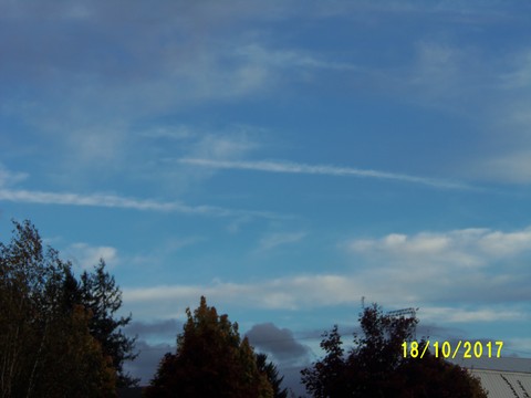100_3254.JPG