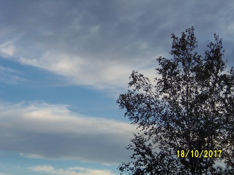 100_3255.JPG