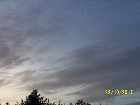 100_3259.JPG