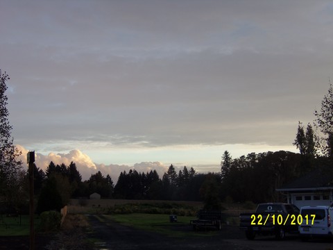 100_3264.JPG