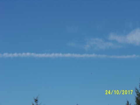 100_3271.JPG