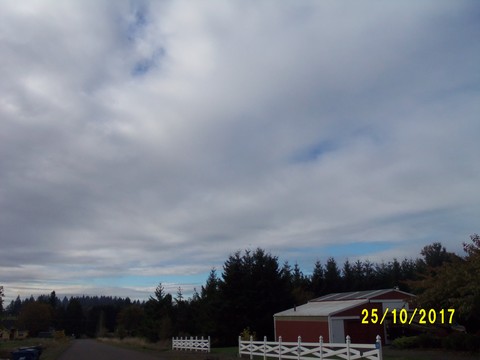 100_3285.JPG