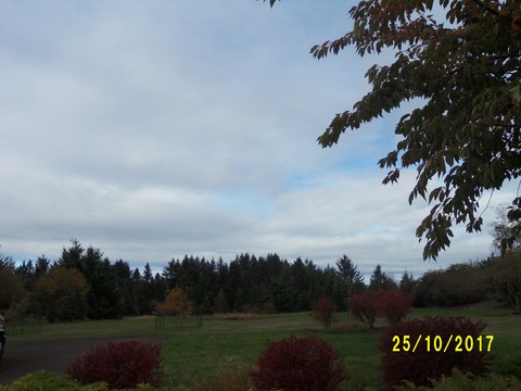 100_3286.JPG