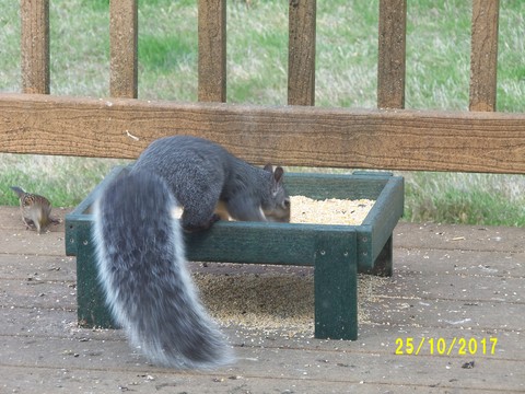 100_3289.JPG