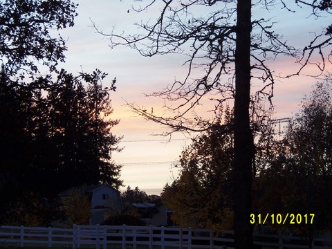 100_3292.JPG