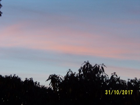 100_3293.JPG