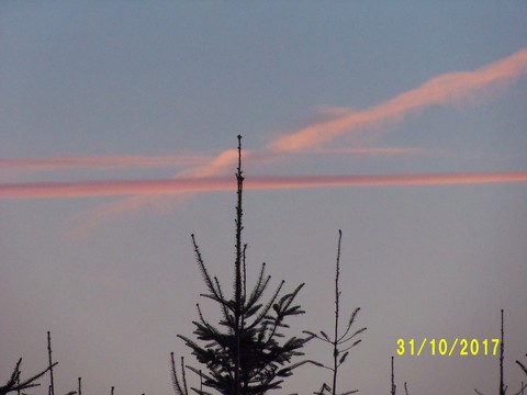 100_3297.JPG