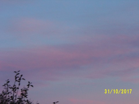 100_3296.JPG