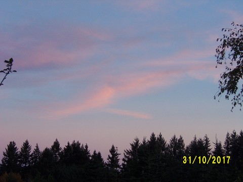 100_3299.JPG