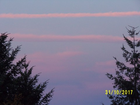 100_3300.JPG