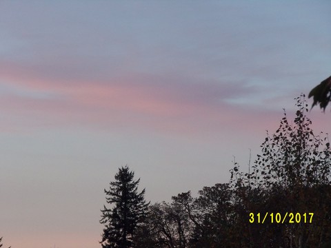 100_3301.JPG
