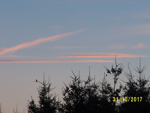 100_3303.JPG
