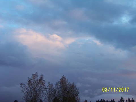 100_3318.JPG