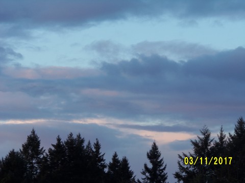 100_3317.JPG