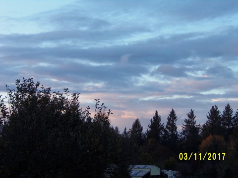 100_3315.JPG
