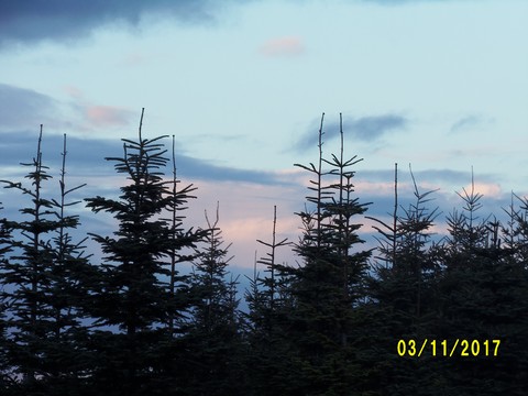 100_3312.JPG