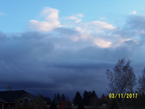 100_3310.JPG