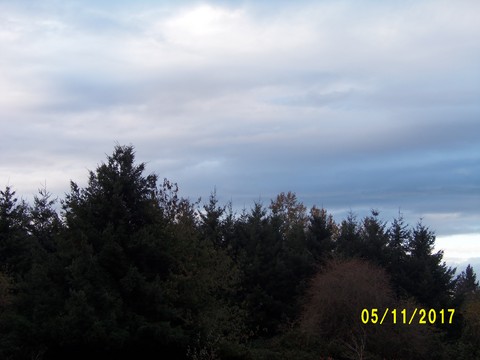 100_3322.JPG