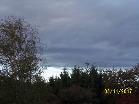 100_3323.JPG