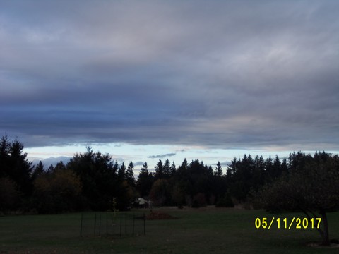 100_3324.JPG