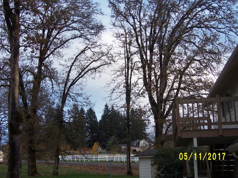 100_3325.JPG